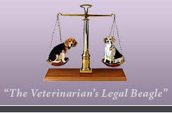 The Veterinarian's Legal Beagle