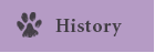 History