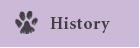 History